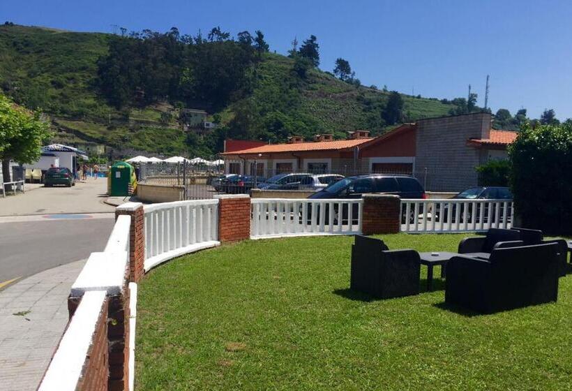 هتل Arena