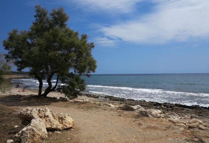 Отель Bj Playa Blanca