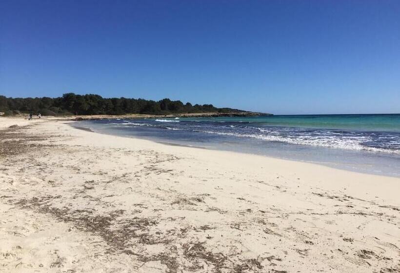 Отель Bj Playa Blanca