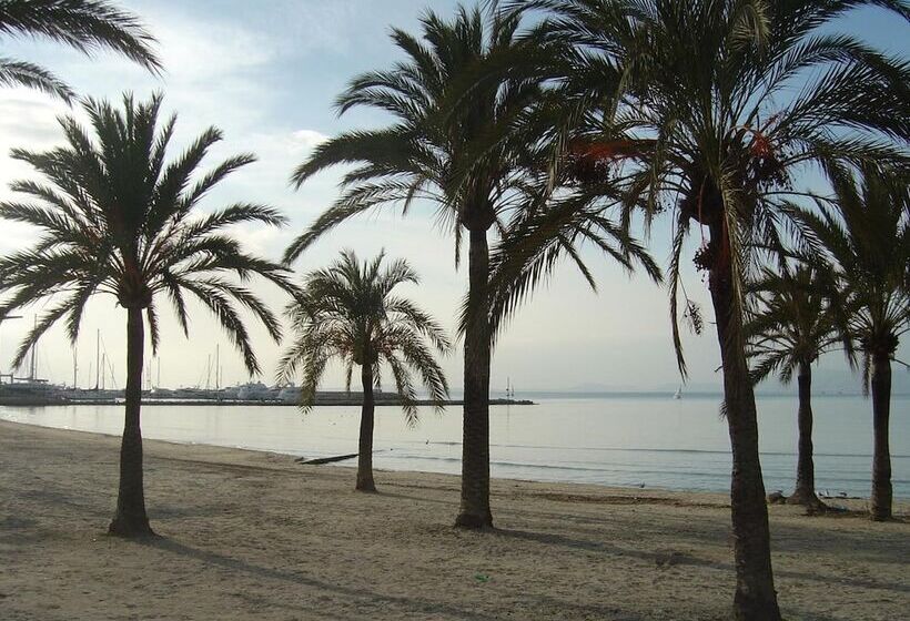 Отель Blue Sea Mediodia