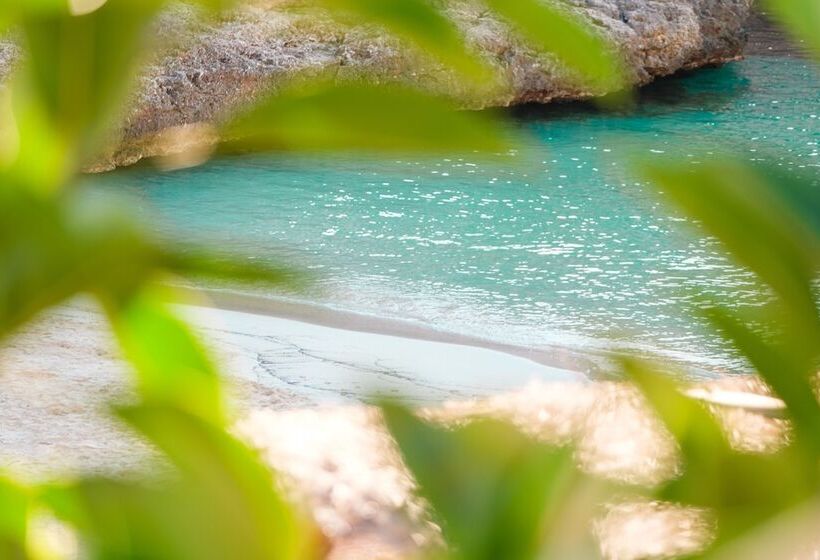 호텔 Cala Dor Adults Only