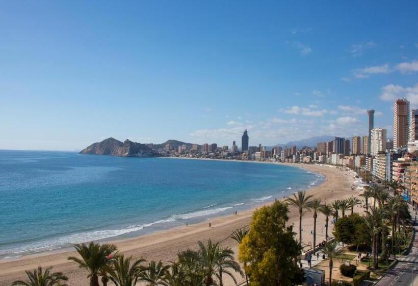 호텔 Casual Pop Art Benidorm