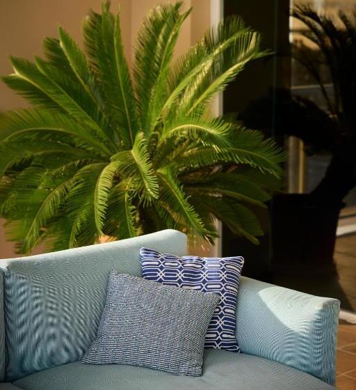 酒店 Catalonia Majorica