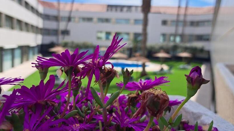 酒店 Daniya Alicante