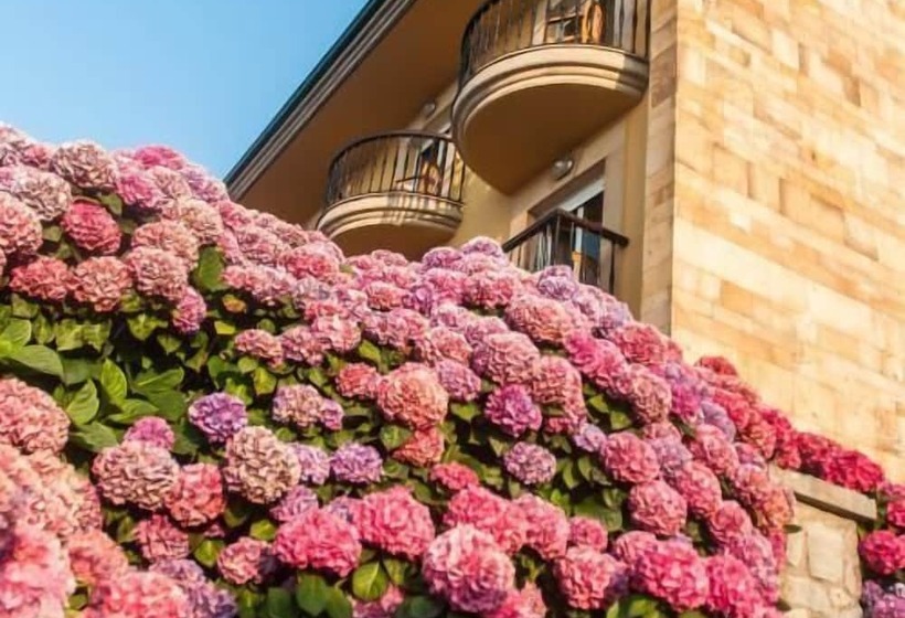 בית מלון כפרי Don Pepe