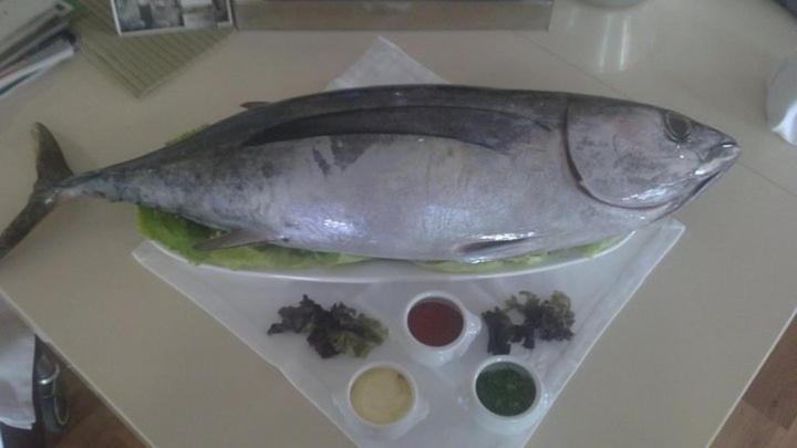 فندق Restaurante El Manquin