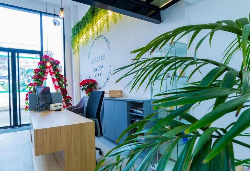 בית מלון כפרי Hospedium Cañitas Maite Gastronómico