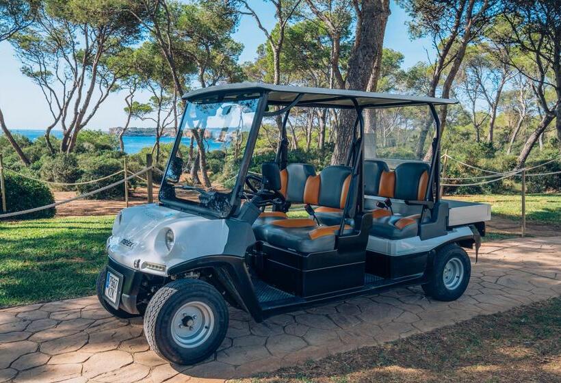 ホテル Iberostar Waves Club Cala Barca