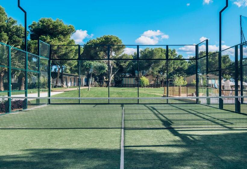 ホテル Iberostar Waves Club Cala Barca