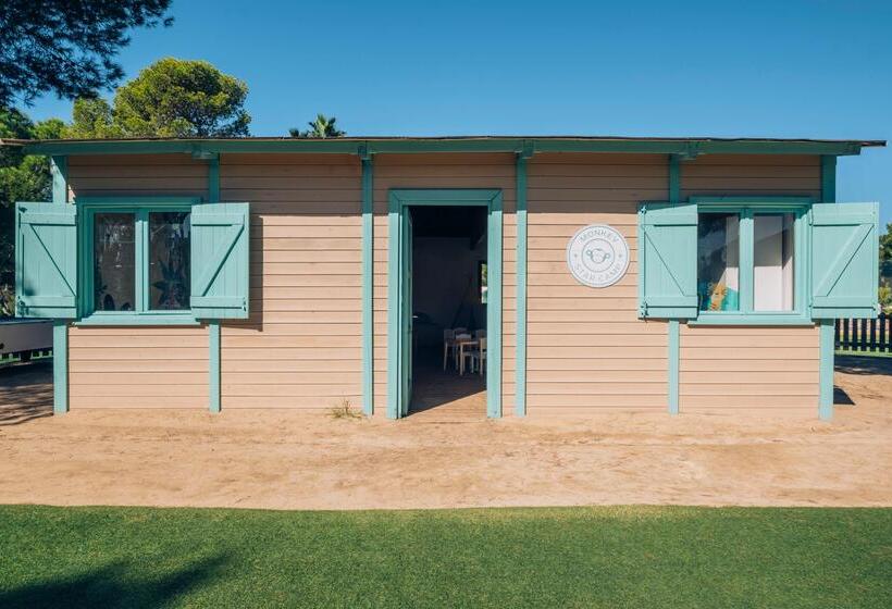 ホテル Iberostar Waves Club Cala Barca