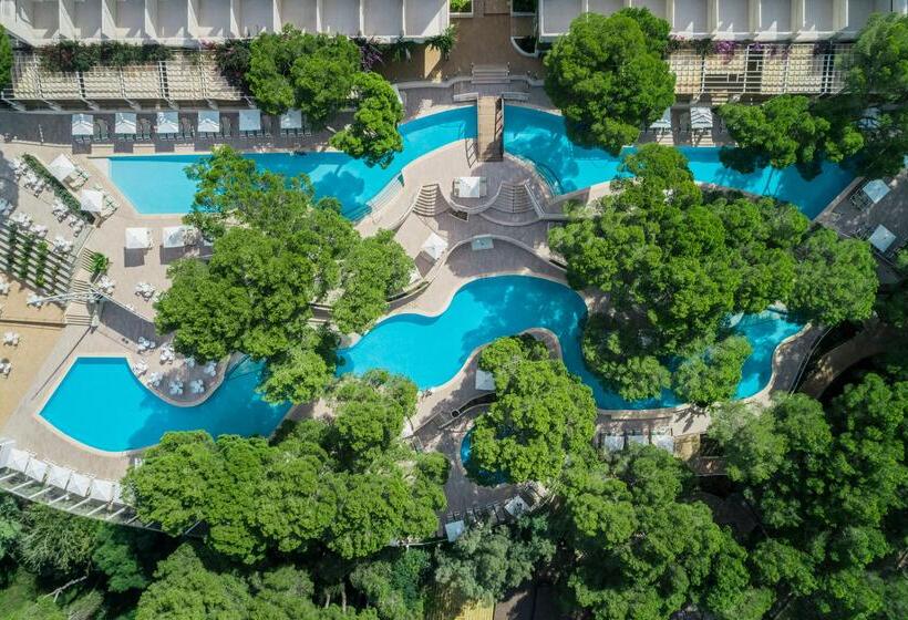 ホテル Iberostar Waves Club Cala Barca