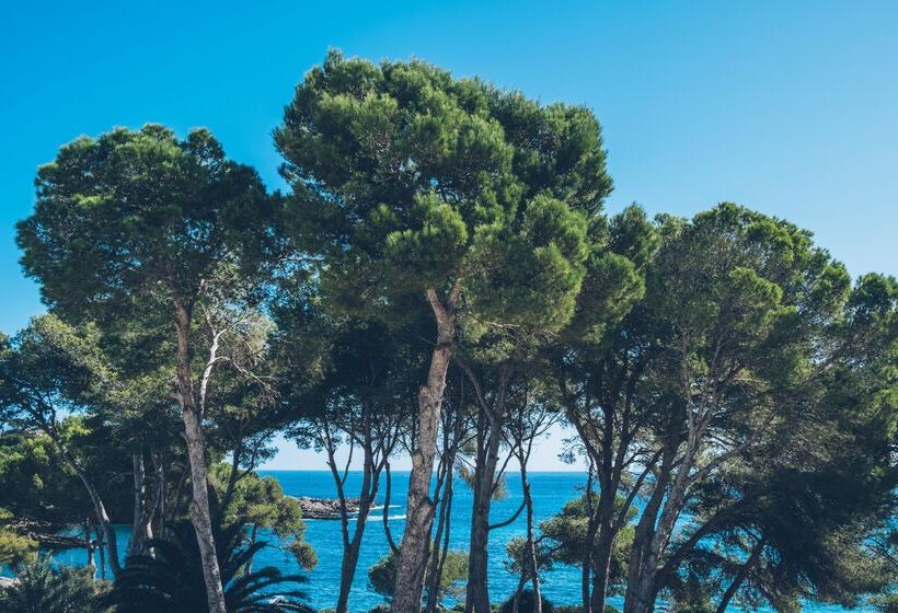 호텔 Iberostar Waves Pinos Park