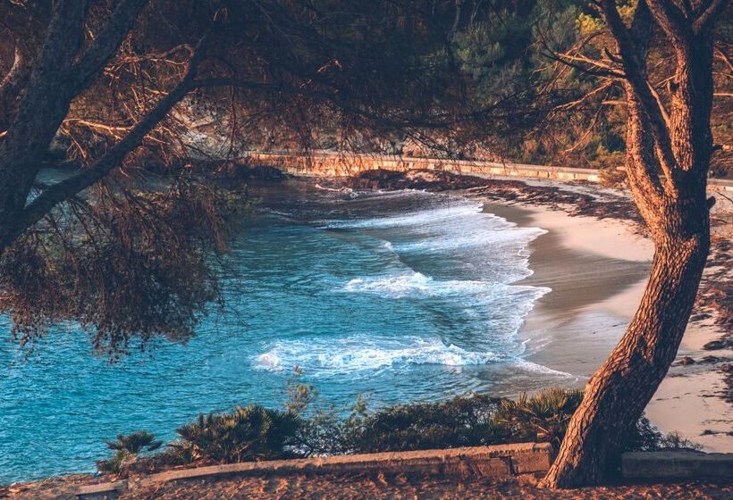 호텔 Iberostar Waves Pinos Park