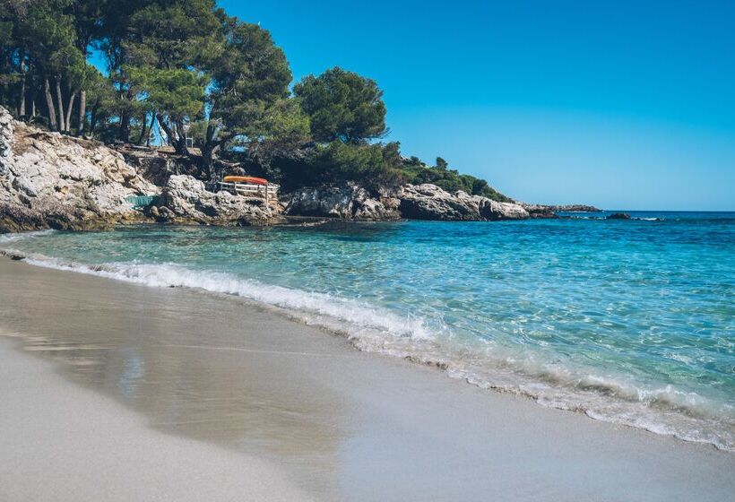 호텔 Iberostar Waves Pinos Park