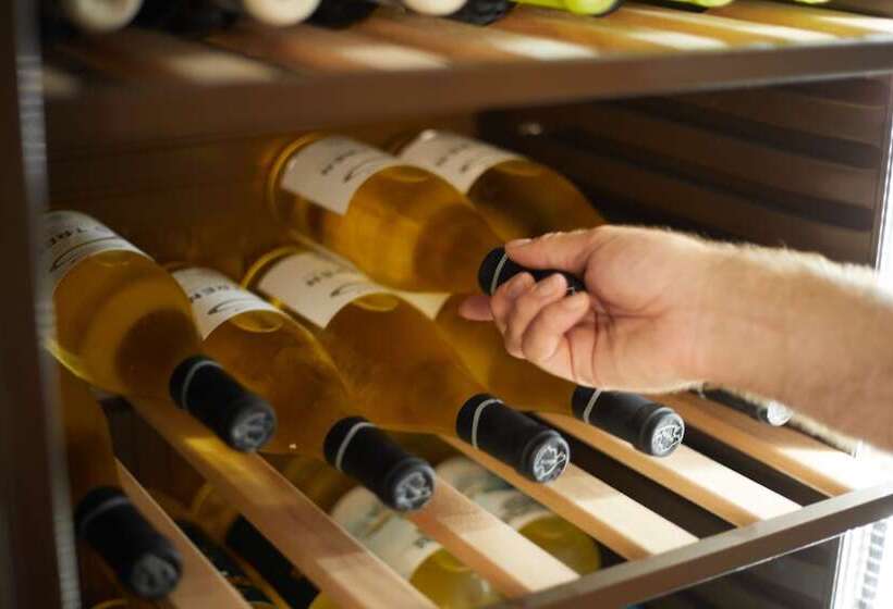 Отель Js Paradise Sport   Adults Only