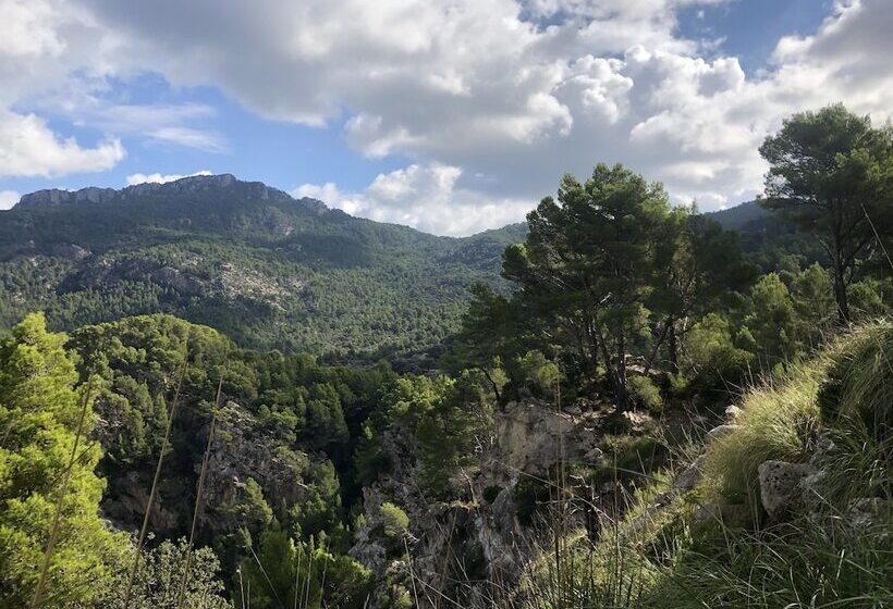 Maristel Hotel & Spa - Adults Only