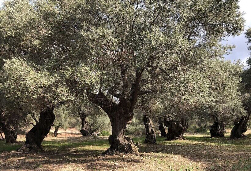 Maristel Hotel & Spa - Adults Only