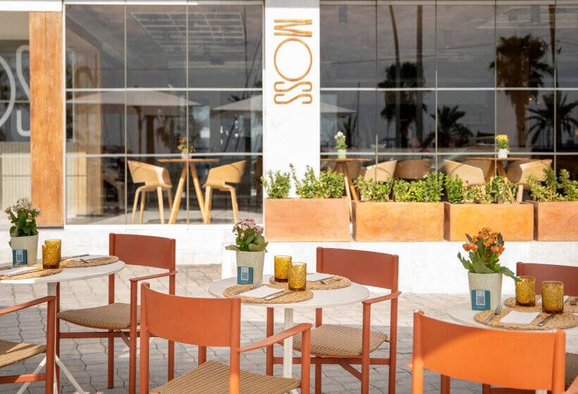 酒店 Melia Palma Marina