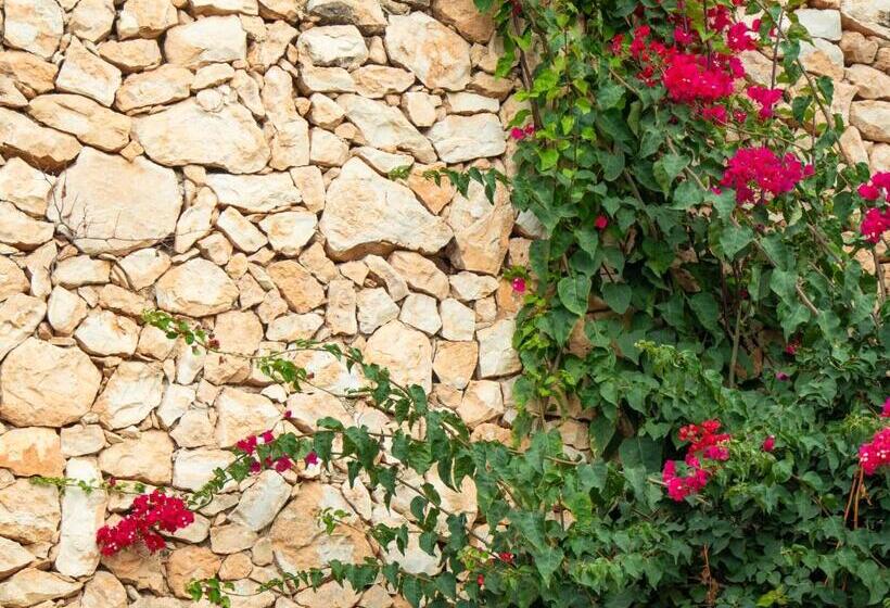 בית מלון כפרי Montepiedra 4    Sup