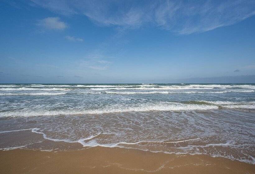 هتل Playas De Guardamar