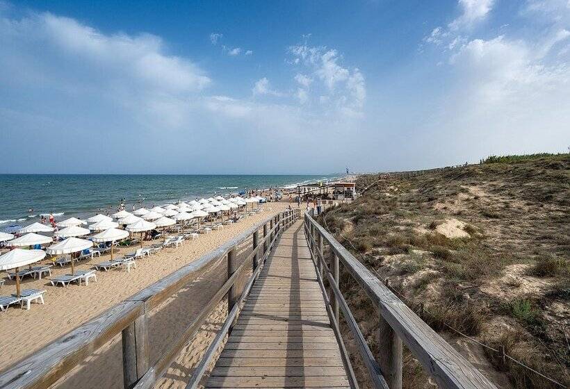 هتل Playas De Guardamar