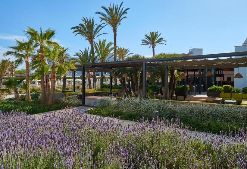 Protur Sa Coma Playa Hotel & Spa