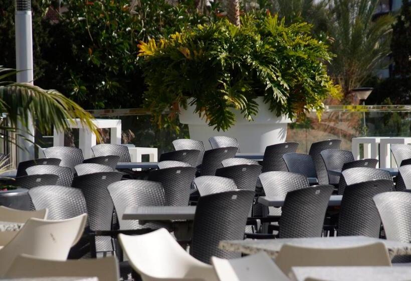 酒店 Sandos Monaco   Adults Only