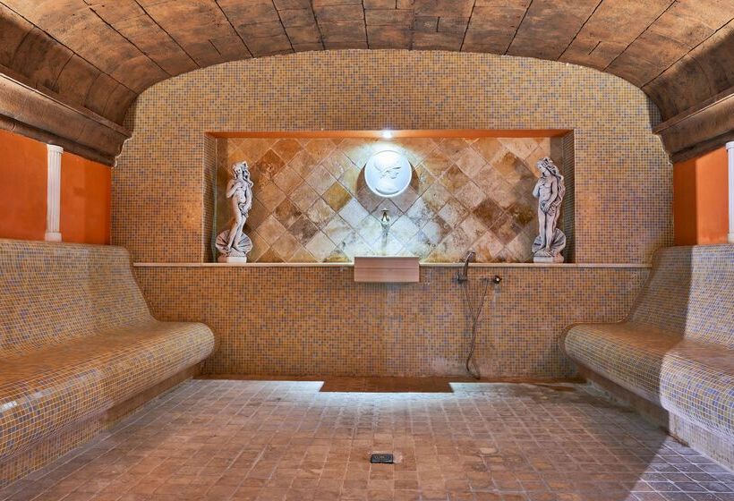 Отель & Spa S'entrador Playa