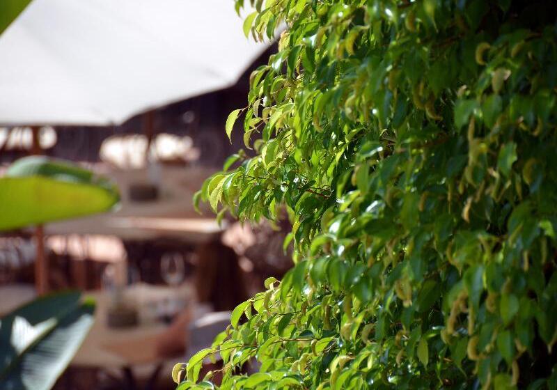 هتل Swiss Moraira  Adults Recommended