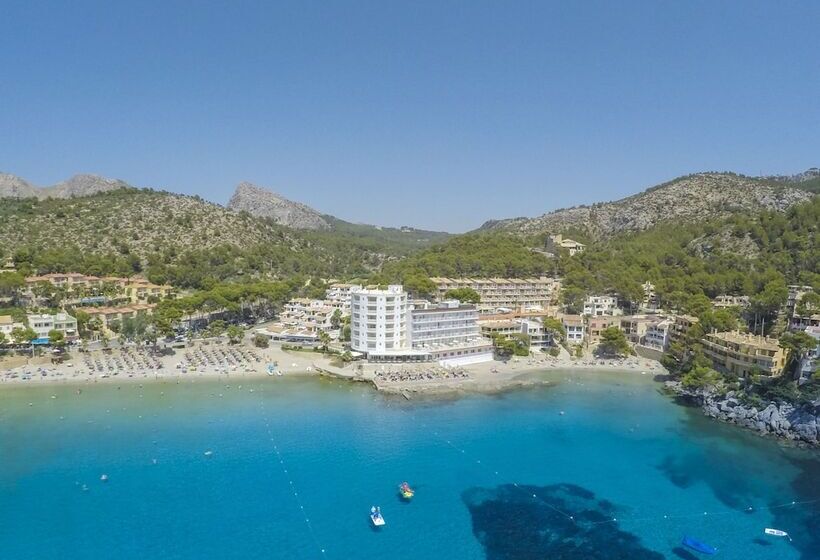 Universal Aparthotel Don Camilo