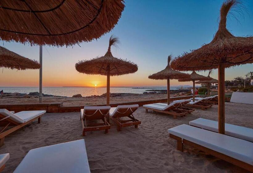 Universal Hotel Cabo Blanco Adults Only