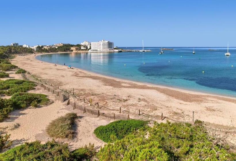 Universal Hotel Marqués