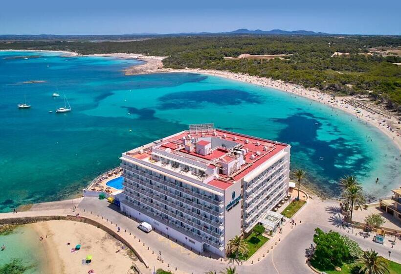 Universal Hotel Marqués