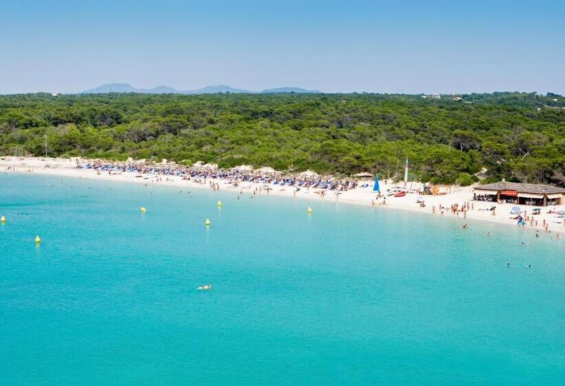 Universal Hotel Marqués