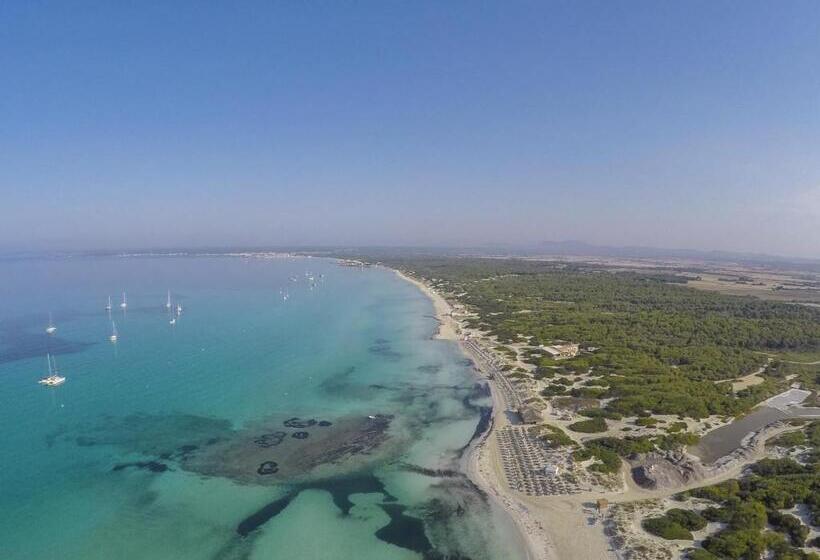 Universal Hotel Marqués