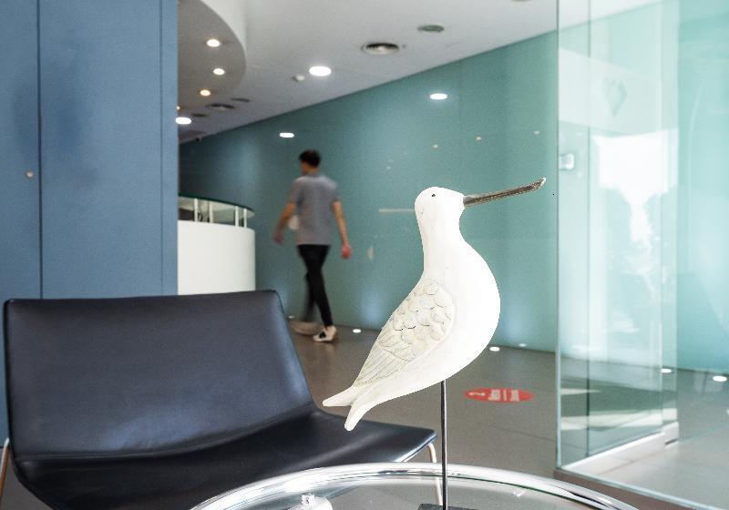 فندق Villa San Juan