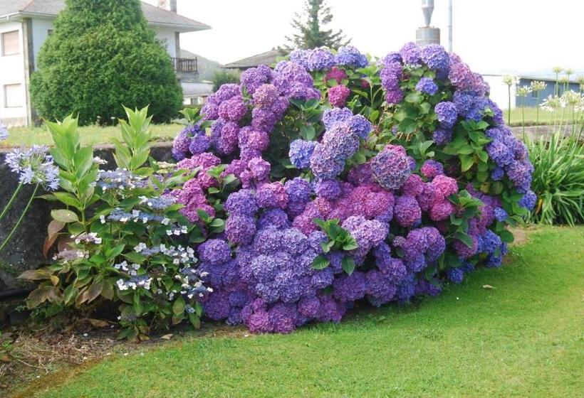 هتل Luarca Zabala