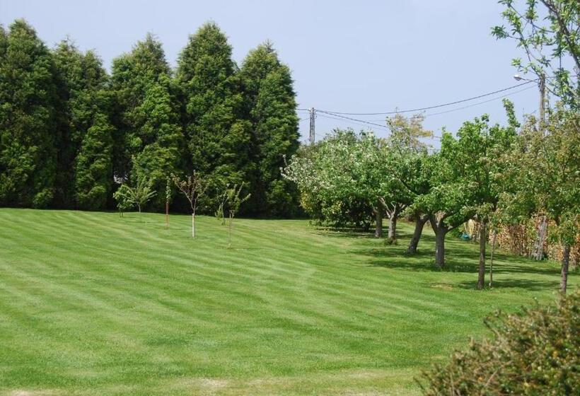 هتل Luarca Zabala