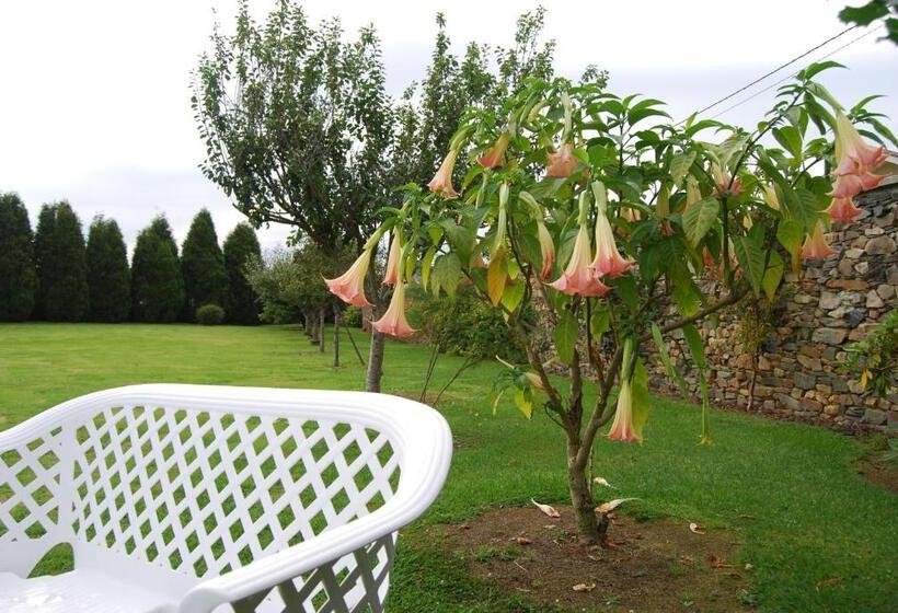 هتل Luarca Zabala