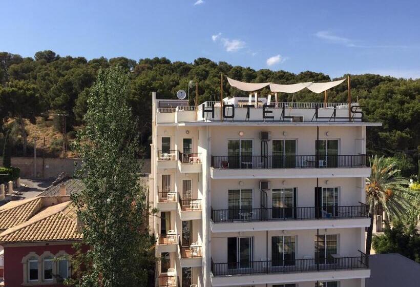 Lis Mallorca