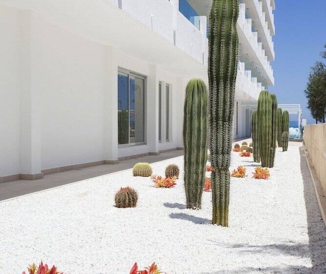 The Sea Hotel By Grupotel   Adults Only