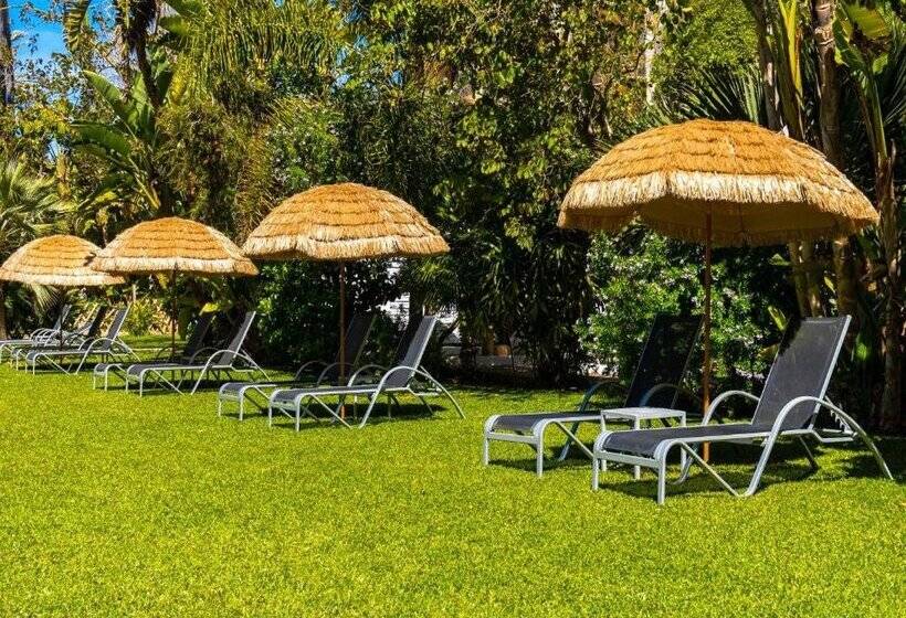 Bahía De Alcudia Hotel & Spa