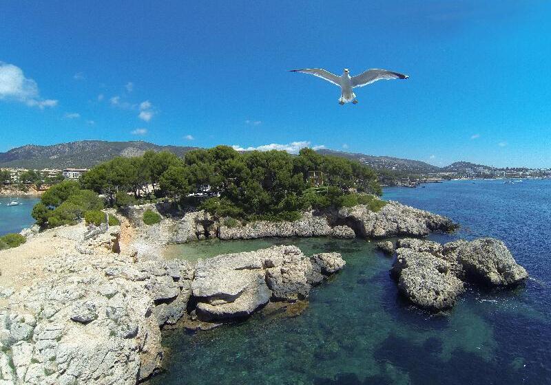 Boutique Hotel Punta Negra