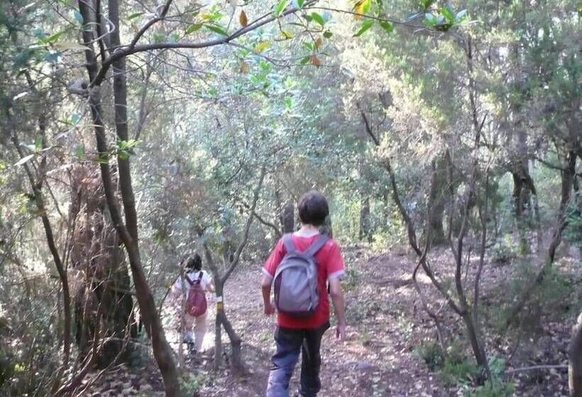 Can Fisa Hotel & Apartments