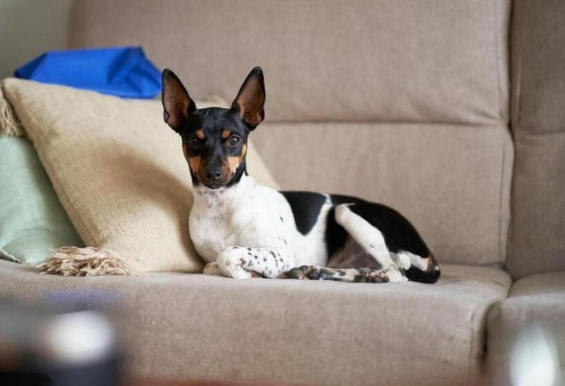 בית מלון כפרי Air Penedès