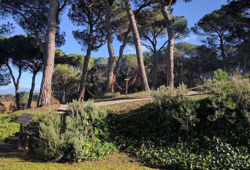 Отель Augusta Barcelona Valles