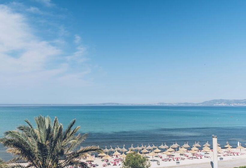 Aya Seahotel   Adults Only