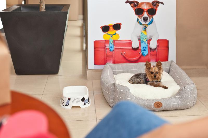 Azuline Hotel Mediterráneo