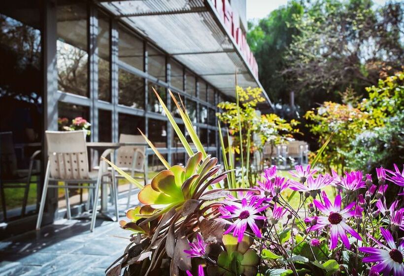 Best Western Plus Hotel Alfa Aeropuerto