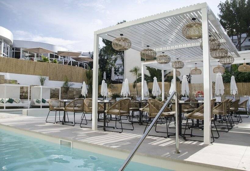 Bq Paguera Boutique Hotel   Adults Only